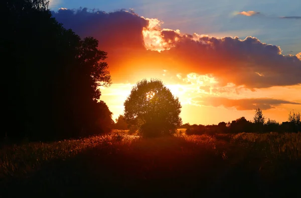 Ketenangan yang Tumbuh Saat Mengikuti Ritme Sendiri